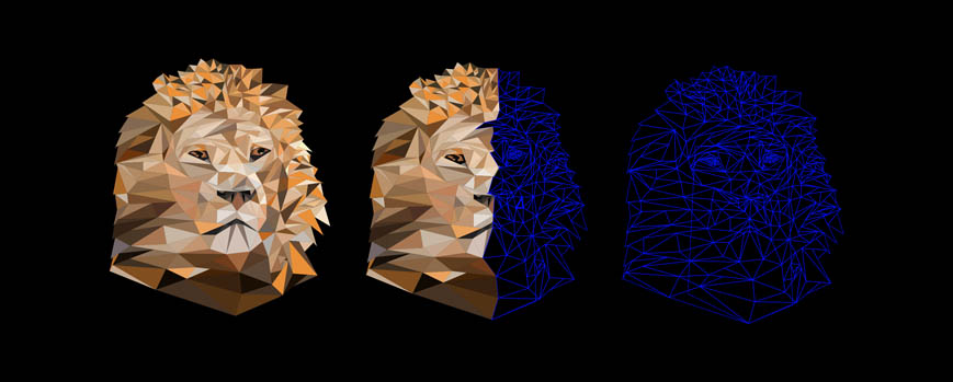 Lion Polyarts By Malintha Peiris